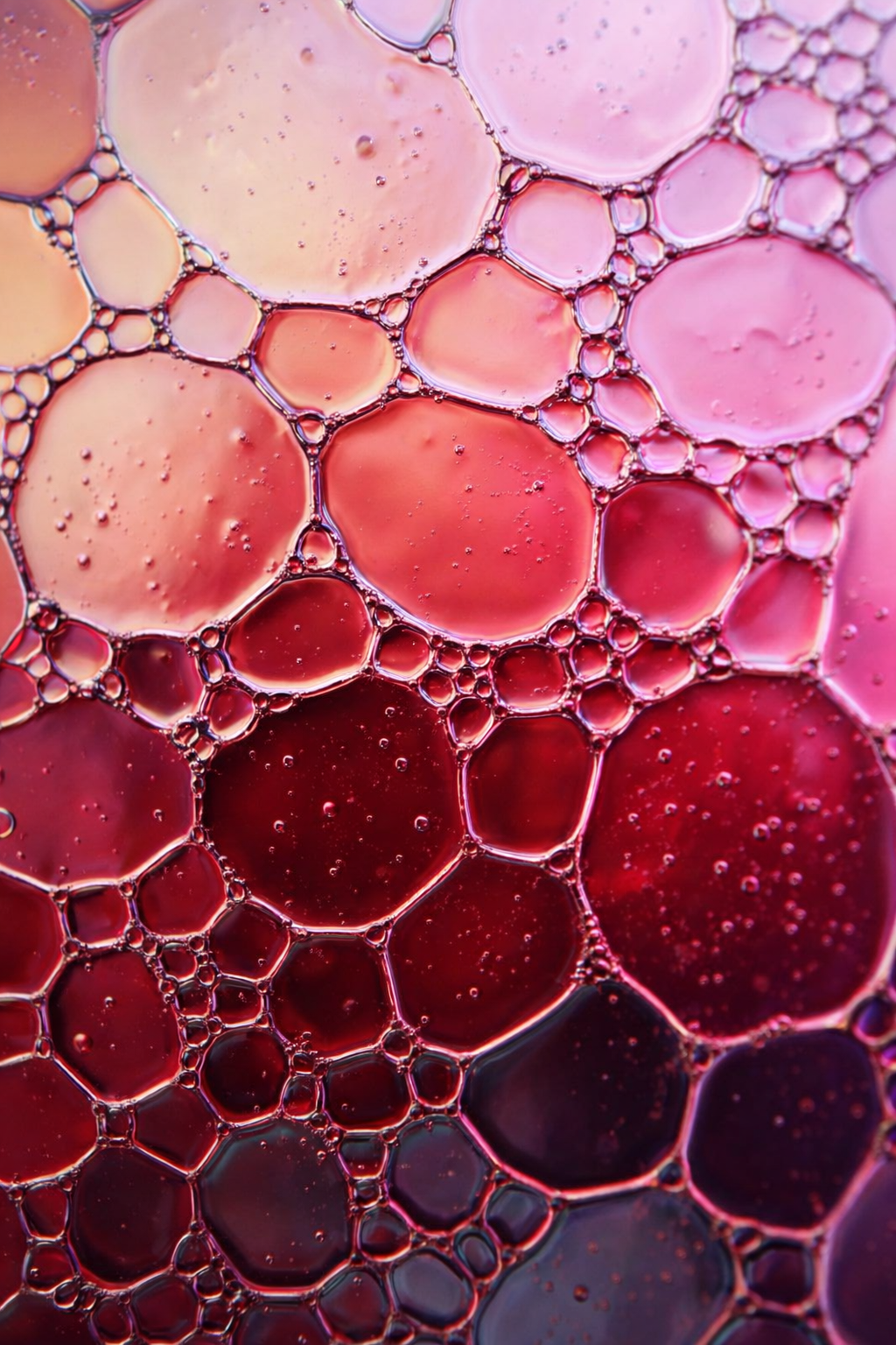 Ingredient-Vitamin-B12-Fenna-Vitamin-Sprays