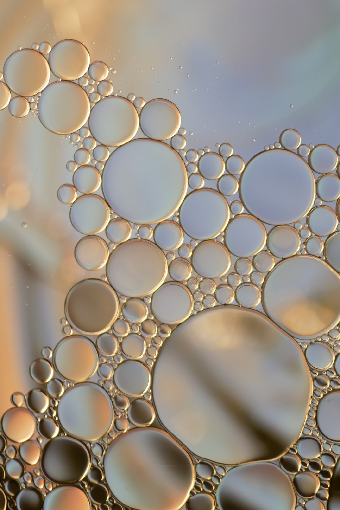 Ingredient-Vitamin-B6-Fenna-Vitamin-Sprays