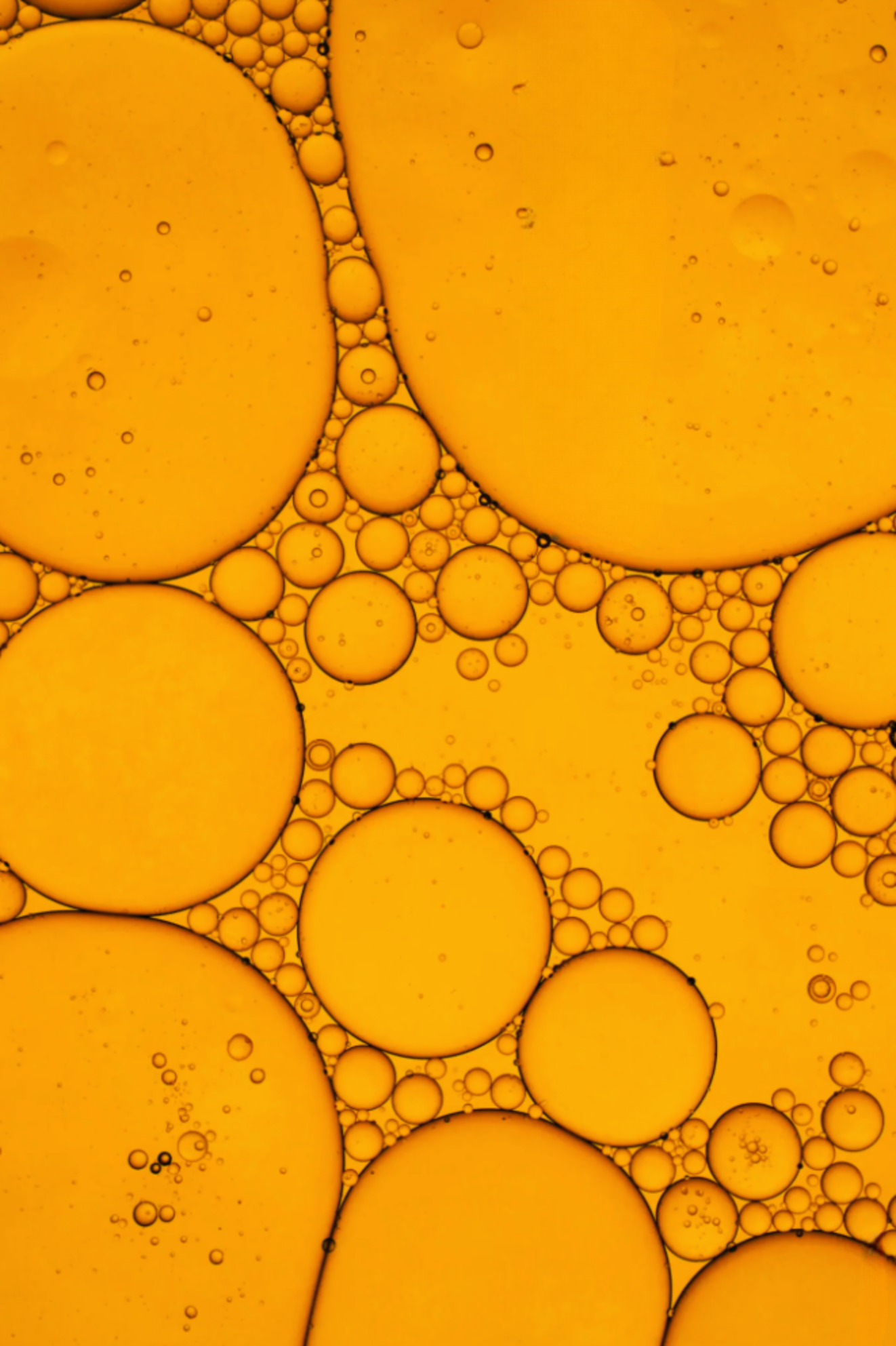 Ingredient-Vitamine-K2-Fenna-Vitamin-Spray